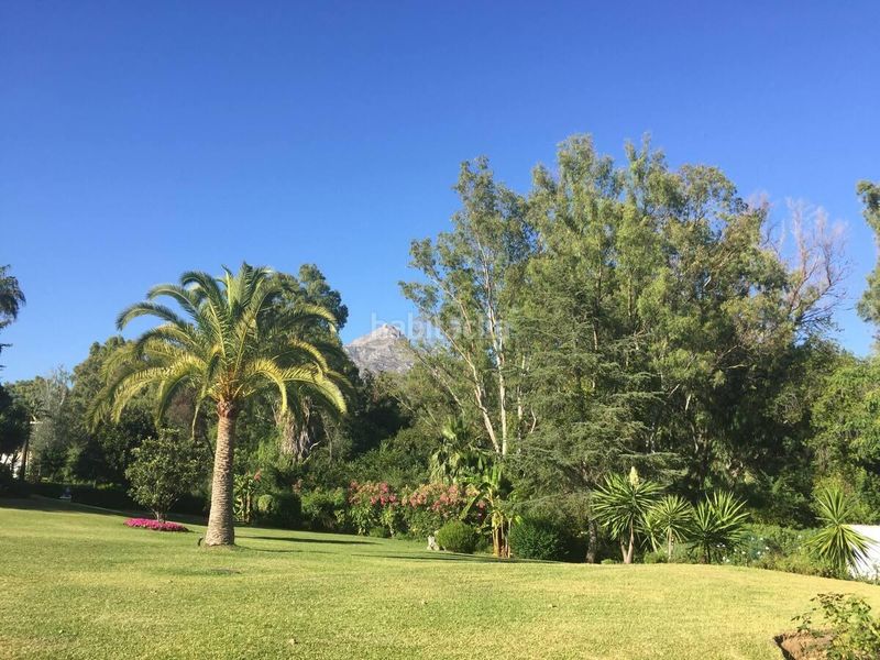 Foto 66dabe00-1751-47f3-ab3d-dfc519709b60. Apartament amb aparcament piscina a Los Naranjos Marbella