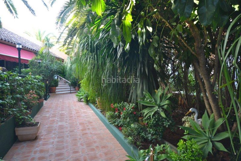 Foto 5355fef7-5c9d-4b0e-9b1d-fefcf3ba50ba. Local comercial a Paraiso - Barronal Estepona