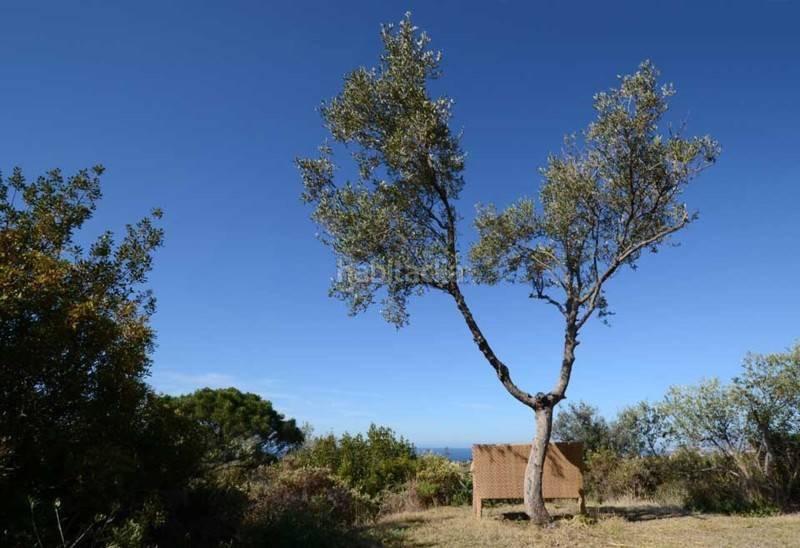 Foto e9876c39-e831-4173-9780-2469186b322b. Casa con parcheggio piscina in El Rosario - Ricmar Marbella