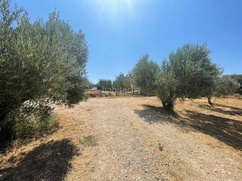 Foto 01f3b6d2-dea9-4c5b-9a96-ce8485389b0f. Finca rústica a Pueyo / Puiu