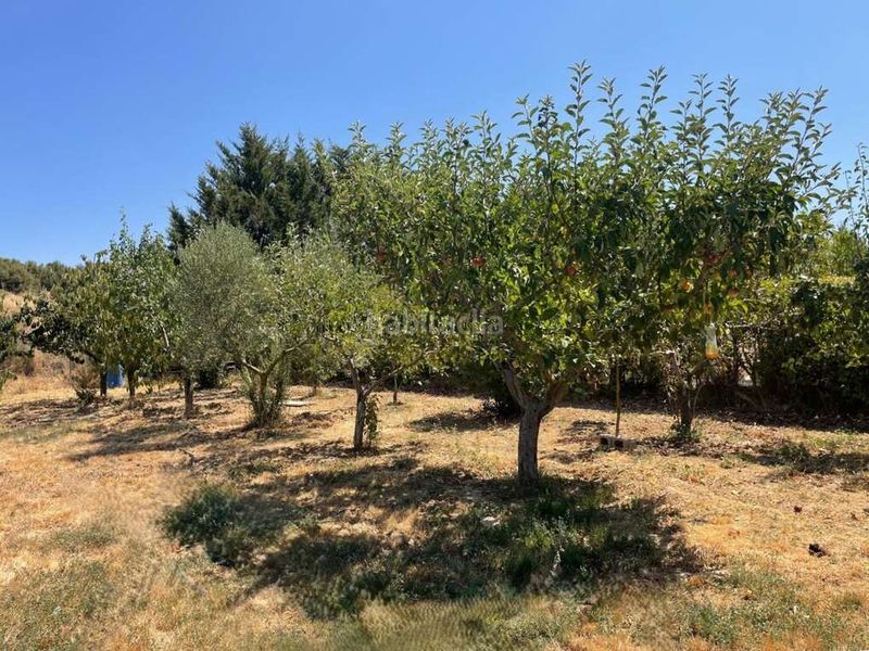 Foto 6902c04e-0d3f-453a-92d0-e7d1b283e25c. Finca rústica a Pueyo / Puiu