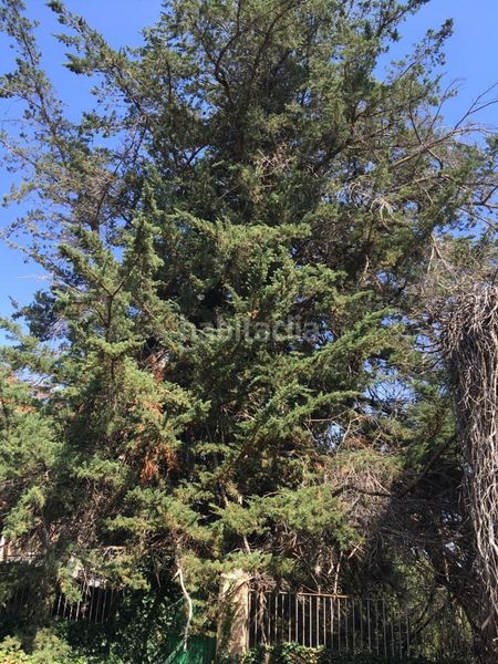 Foto 178405a4-831f-47df-b7c7-a51a15c1cdeb. Casa a Redal (El)