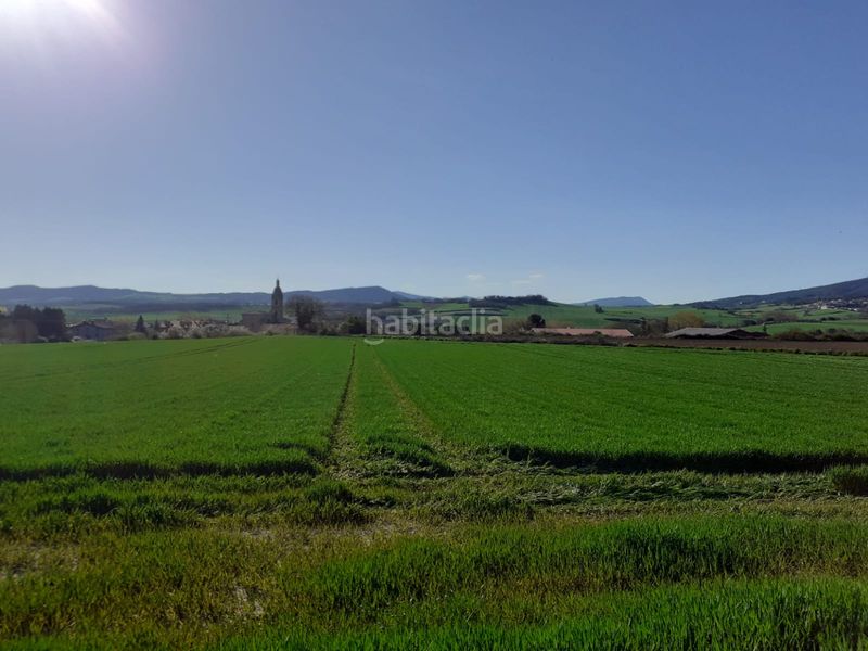 Foto 0427c7fa-462b-4bd1-afea-a66f5fc96fd0. Finca rústica a Puebla de Arganzón (La)