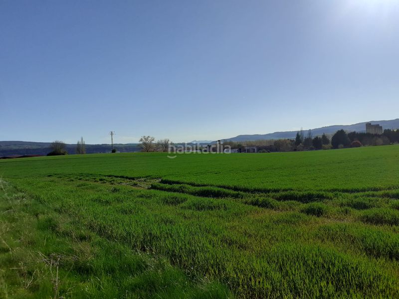 Foto 6fb36930-ef98-49e9-8535-fb50a47c5385. Finca rústica a Puebla de Arganzón (La)