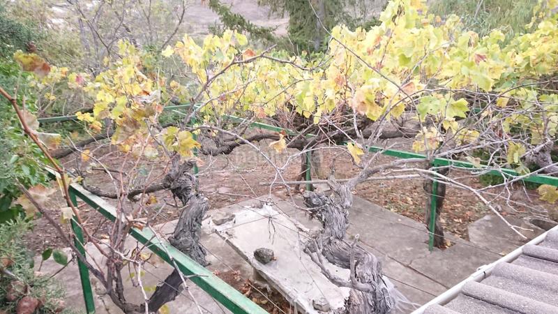 Foto f3a75298-f8a4-4e9c-8fcc-d03fc0ba4878. Fondo rustico in Lagunilla del Jubera