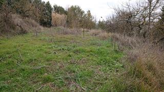 Rural plot in Oeste