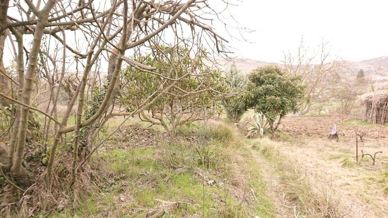 Foto 383bed9d-878e-4f4a-9b0c-b62a842bfe18. Rural plot in Oeste Logroño