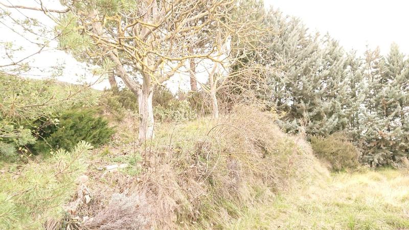 Foto fdd34c12-4c36-45ea-9a14-6d2ff59956a9. Rural plot in Oeste Logroño