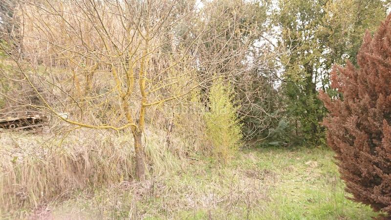 Foto aa8c5b0c-11bb-487e-bdf8-373cb64e485e. Finca rústica en Oeste Logroño