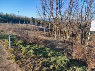 Residential Plot in Calle ardillas 8