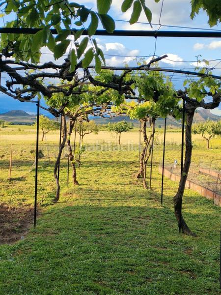 Foto 286da20c-3985-4769-a8a9-26ec9a2608a9. Landgut in Entrena