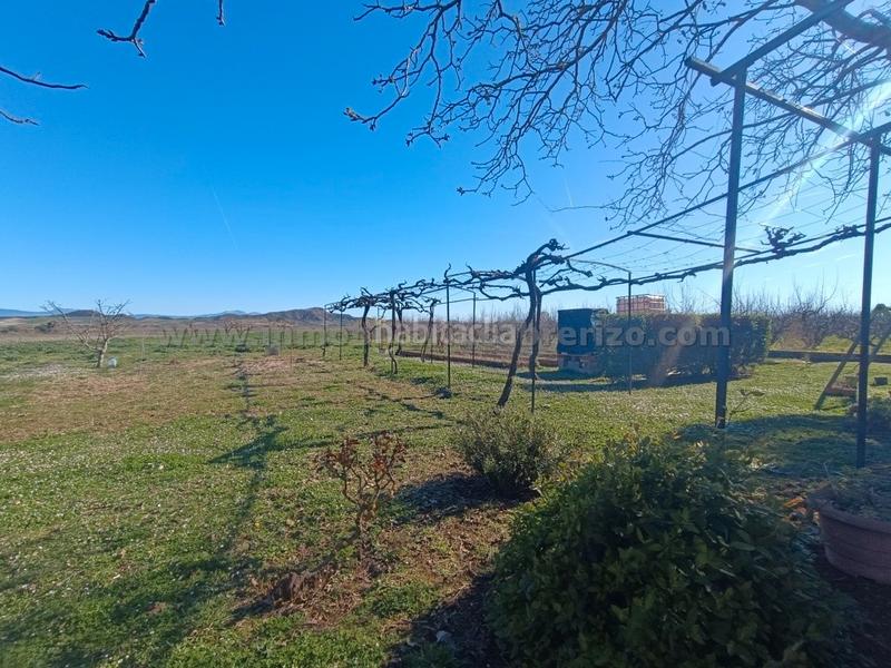 Foto 9f5f348e-1bd3-4022-bcb2-571b1d31173f. Landgut in Entrena