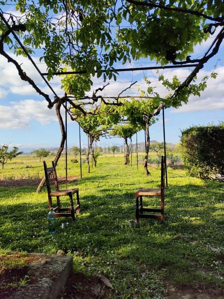 Foto aced90ab-6d24-4d03-ac66-4189853dc441. Landgut in Entrena