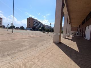 Local Comercial a Los Lirios