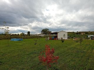 Fondo rustico in Villamediana de Iregua
