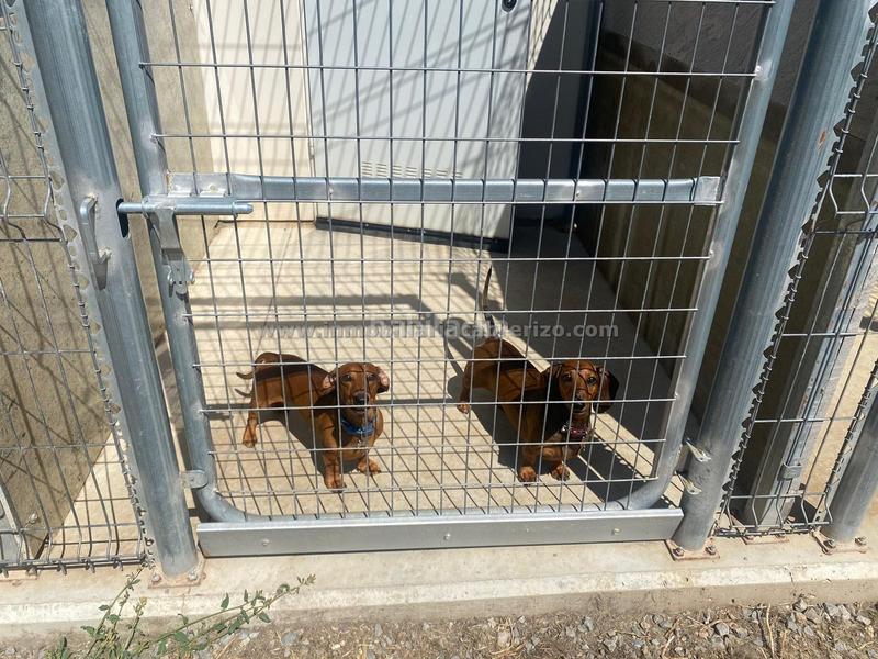 Foto 30867085-e57a-4389-854d-93280070b90a. Fondo rustico in Villamediana de Iregua