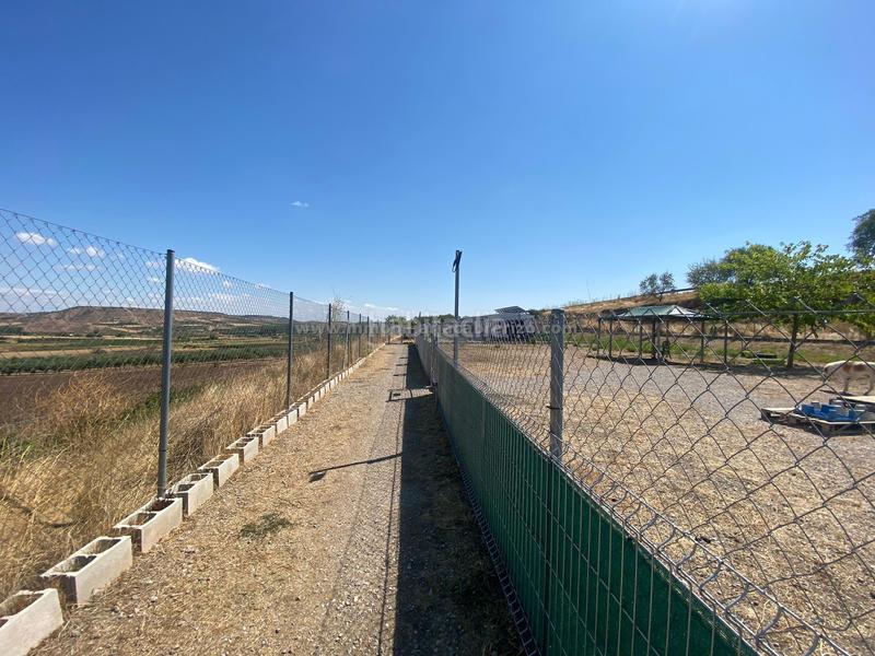 Foto 3eead97a-9689-4ac7-bbfd-0ba4cb0b9a71. Fondo rustico in Villamediana de Iregua