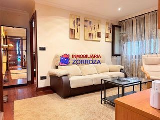 Flat  Zorrotza kastrexana errepidea. Se vende piso en carretera castrexana