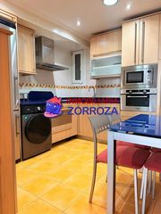 Flat  Zorrotza kastrexana errepidea. Se vende piso en carretera castrexana