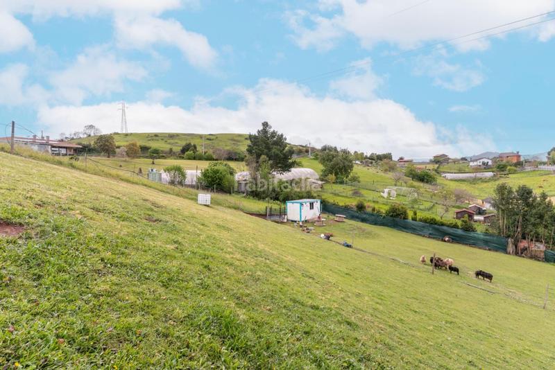 Foto 4316d869-628e-4c22-b65a-bdaf90fea31a. Terreny residencial a camino camín de robustiano a Gijón