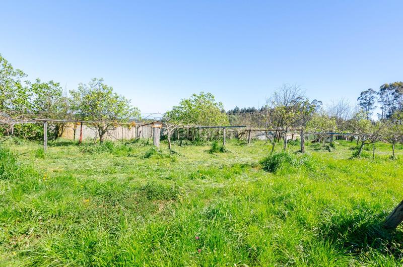 Foto 9fff3169-73d7-4893-ba98-6a73ccf22626. Nave industrial en llano-piedeloro 19 nave industrial en venta en Carreño