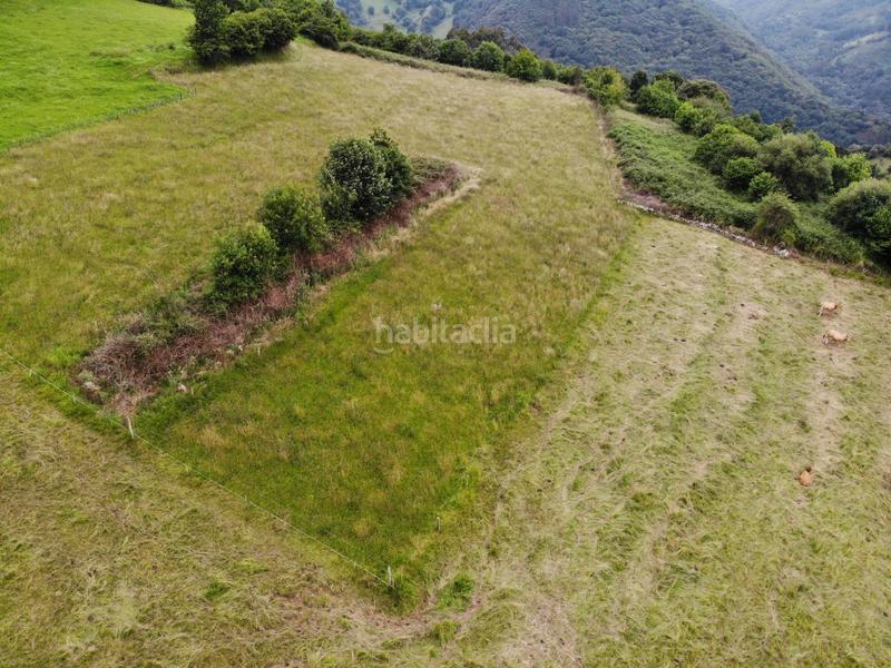 Foto 05393c2a-e119-4d76-afa4-dc8d43dbcf18. Propriété dans polígono 146 parcela 367 llana. Grado (asturias) 146 dans Grado