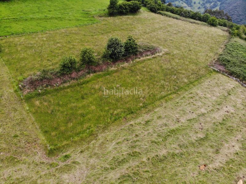 Foto 058c7f5d-3f86-4097-bcc8-d6bbf3088462. Propriété dans polígono 146 parcela 367 llana. Grado (asturias) 146 dans Grado