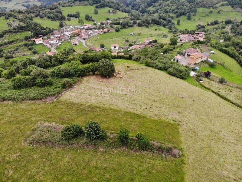 Foto 2ca8292f-37c9-457d-8ac1-22777e915997. Propriété dans polígono 146 parcela 367 llana. Grado (asturias) 146 dans Grado