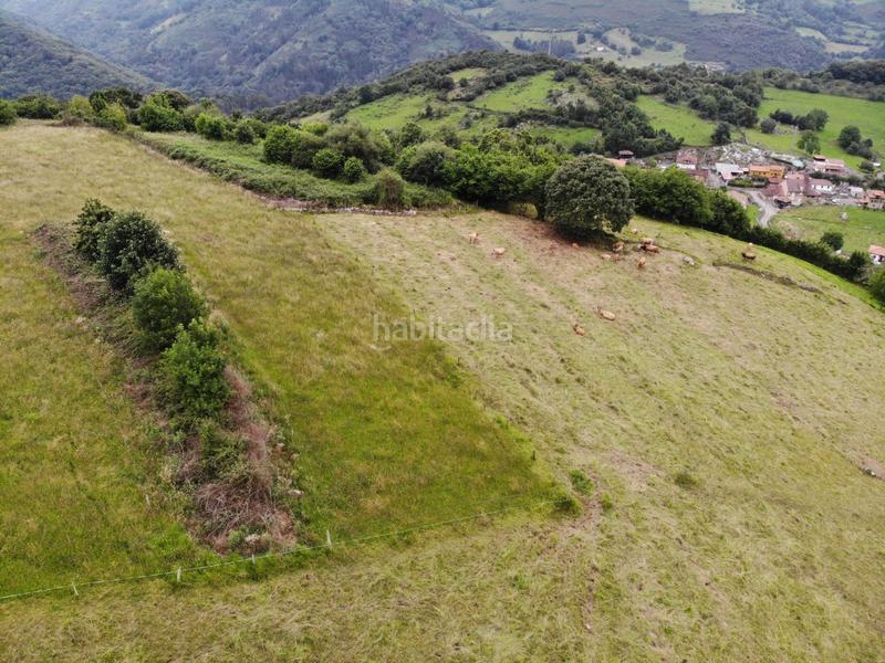 Foto 2cf9ad82-650f-40ff-a1ee-a7f7daf9831d. Propriété dans polígono 146 parcela 367 llana. Grado (asturias) 146 dans Grado