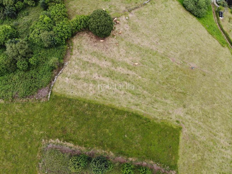 Foto 740af5b1-9be5-4134-98ce-eaf1acc5649e. Propriété dans polígono 146 parcela 367 llana. Grado (asturias) 146 dans Grado