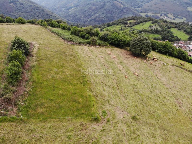 Foto 84d4710b-219c-4f7f-8b04-7029ebf76201. Propriété dans polígono 146 parcela 367 llana. Grado (asturias) 146 dans Grado