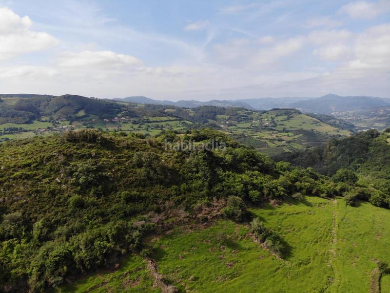 Foto 989eab4e-54e6-4105-845e-5fc94a908b84. Propriété dans polígono 146 parcela 367 llana. Grado (asturias) 146 dans Grado