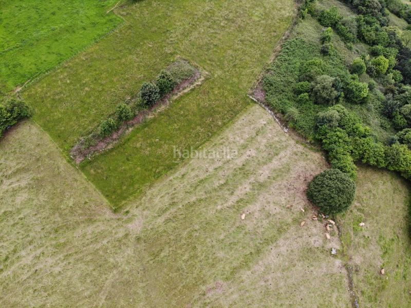 Foto bc6ba3af-fca0-4a62-9cc7-82c2d79a6312. Propriété dans polígono 146 parcela 367 llana. Grado (asturias) 146 dans Grado