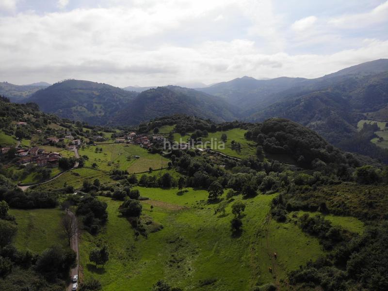 Foto 108a2561-5b09-4171-87ac-6ad9ea04b26d. Propriété dans polígono 145 parcela 113 cerra. Grado (asturias) 145 dans Grado