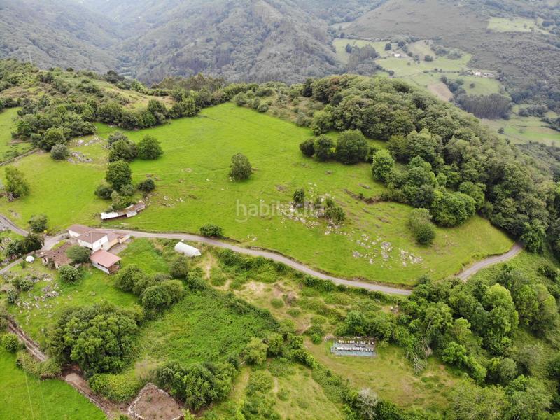 Foto 439c02e7-c7fb-4b1f-bea3-1a7781efac09. Propriété dans polígono 145 parcela 113 cerra. Grado (asturias) 145 dans Grado