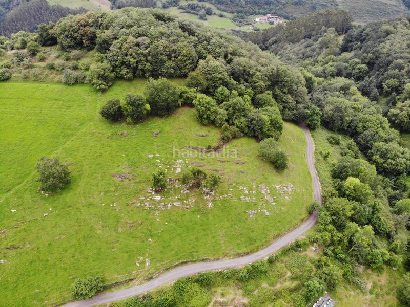 Foto 6880730e-c669-4fcb-9312-2659d6a0a37b. Propriété dans polígono 145 parcela 113 cerra. Grado (asturias) 145 dans Grado