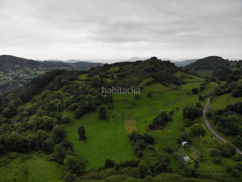 Foto 7a0df791-bea4-49b0-8785-6acff77afe1d. Propriété dans polígono 145 parcela 113 cerra. Grado (asturias) 145 dans Grado