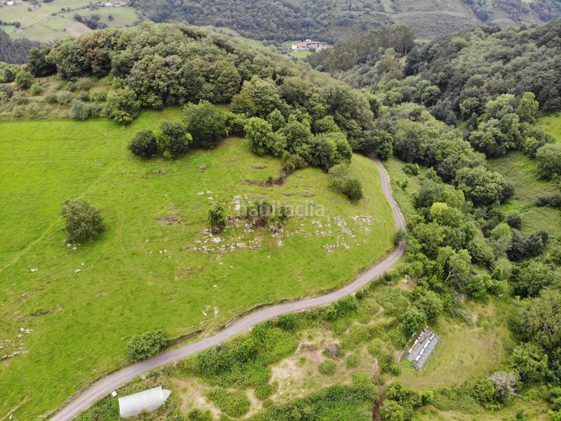 Foto 8a558180-83d8-4d99-afd1-6a3c7aafc8f8. Propriété dans polígono 145 parcela 113 cerra. Grado (asturias) 145 dans Grado