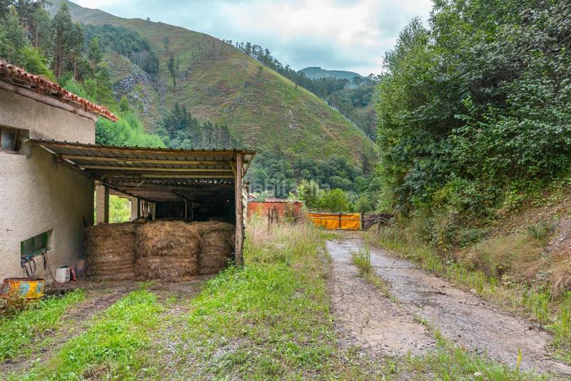 Foto b4de48d2-5d37-40a8-9978-716faa65cf0e. Haus in xerra in Piloña