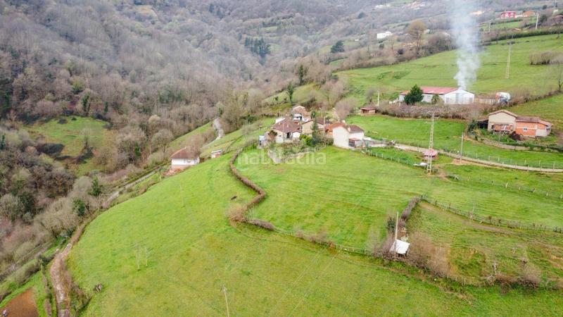 Foto 412354c6-b0f9-462d-9501-4701aeb9ab3a. Casa a enseca de abajo 10 a Morcín