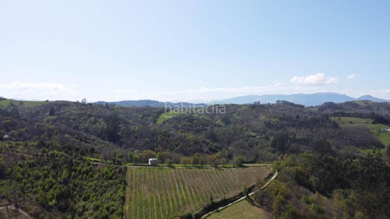 Foto 8ebe76c0-9a4e-4e11-b5f4-8a892a89421e. Terreno residencial en tiñana finca edificable !! en Siero