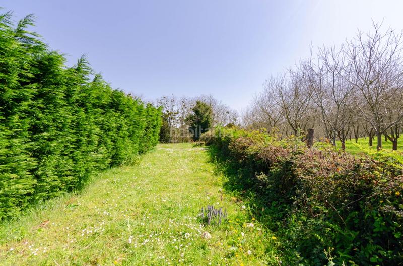 Foto cf943a84-eb81-4229-a624-ca46bca7fe41. Terreno residencial en tiñana finca edificable !! en Siero