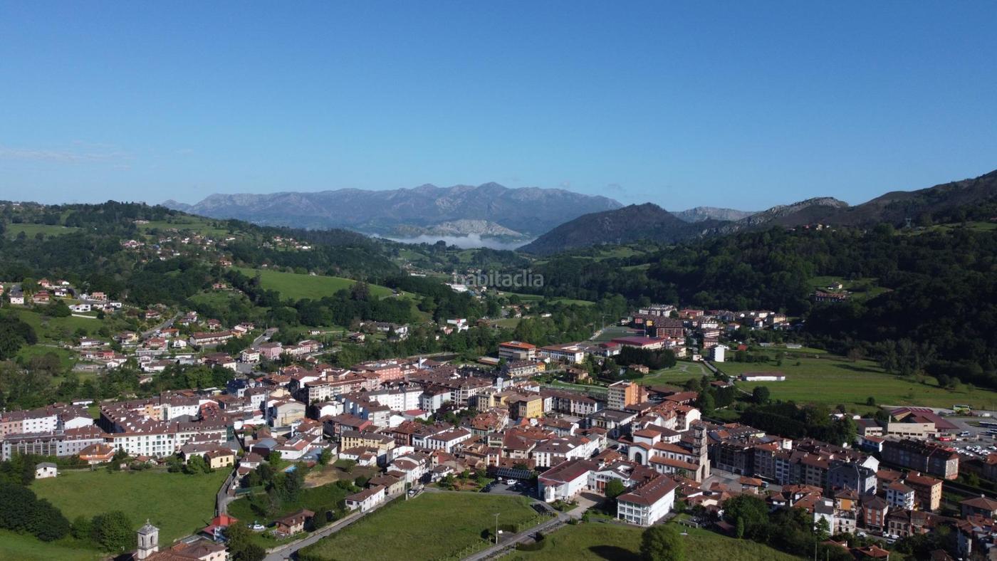 HOTEL APARTAMENTOS EL BEYU CANGAS DE ONIS Cangas de Ons