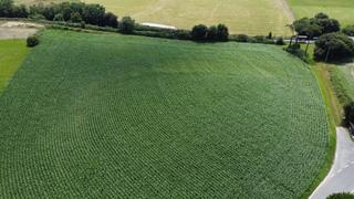 Wohngrundstück in Polígono 62 paraje 122 roza 77. Finca edificable a 5 minutos de la playa caminando y a 8 minutos