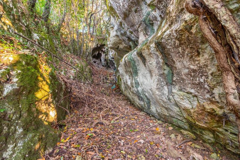 Foto 5bd970b0-9037-4c54-92da-63859dcb27e5. Chalet in lugar cardosu 106 in Pría-Nueva-Hontoria-Naves Llanes