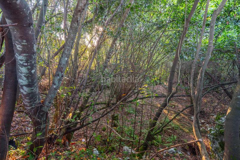 Foto 92983d7b-ae48-49d8-bf53-30b875baffe1. Chalet in lugar cardosu 106 in Pría-Nueva-Hontoria-Naves Llanes