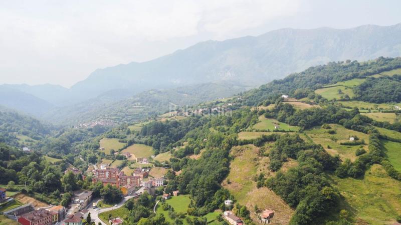 Foto 1b76b7f1-6087-4264-ba9b-0632b5d3b4d2. Terreny residencial a carretera carretera la vega 6 a Riosa