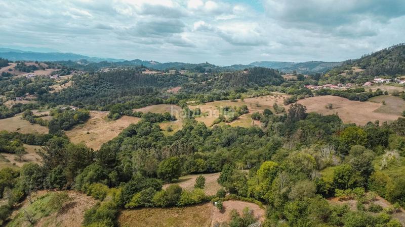 Foto 0b50d8c1-a6b8-41b2-82d5-adcfe10d97f5. Haus in lugar fresnedo 48 in Cabranes