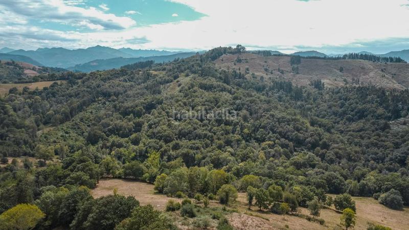 Foto 1b923457-c4da-4dd7-b3b1-69a72cc6cadd. Haus in lugar fresnedo 48 in Cabranes