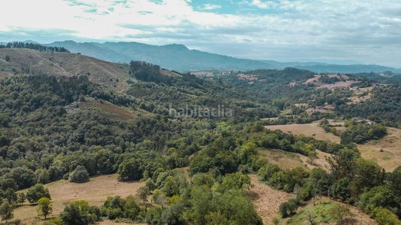 Foto 57d63594-193e-4d25-b2e1-41f2204e49ba. Haus in lugar fresnedo 48 in Cabranes